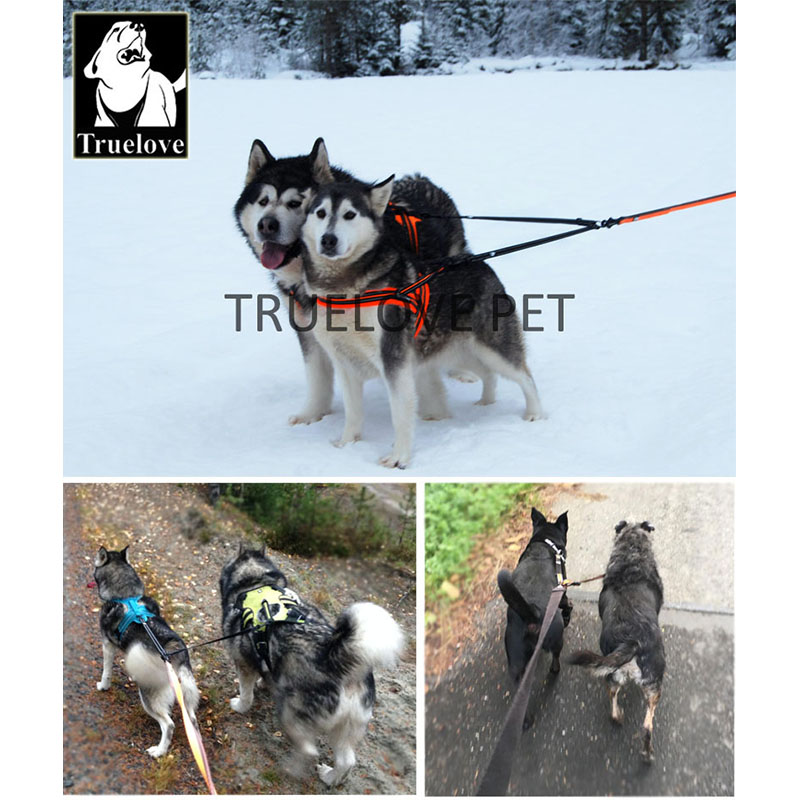 Truelove Nylon Dubbele Hondenr - Running Gear Dog recensie en prijs