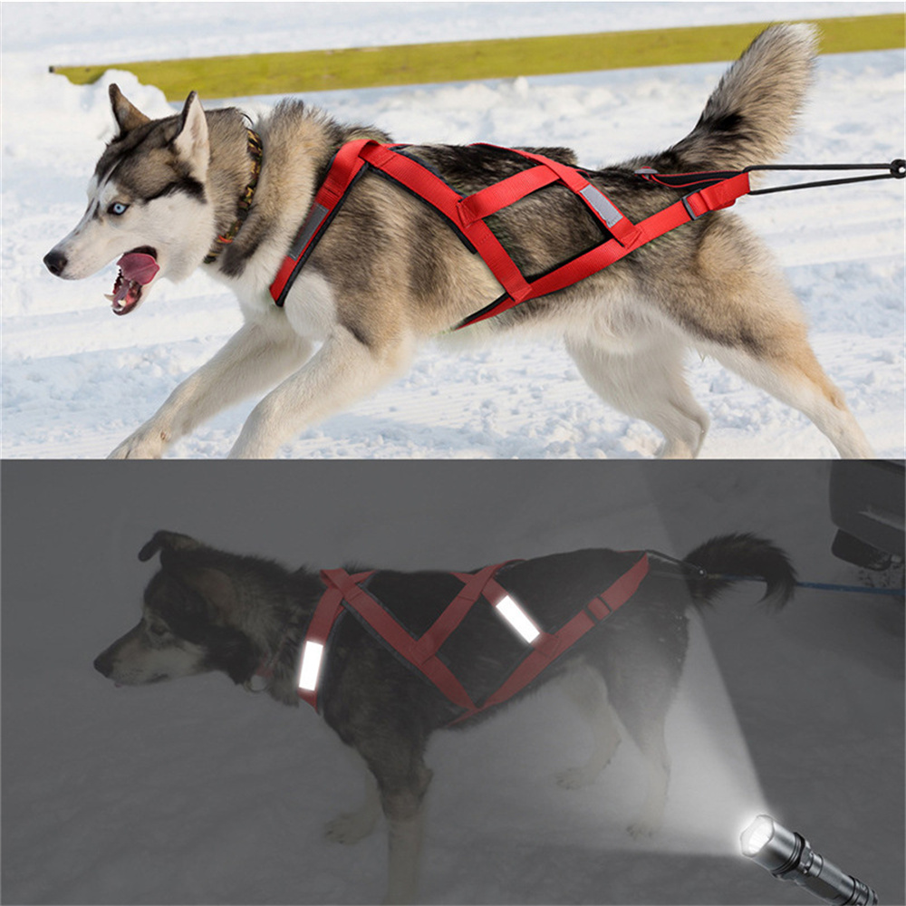Hoge Kwaliteit Grote Honden Sl - Running Gear Dog recensie en prijs