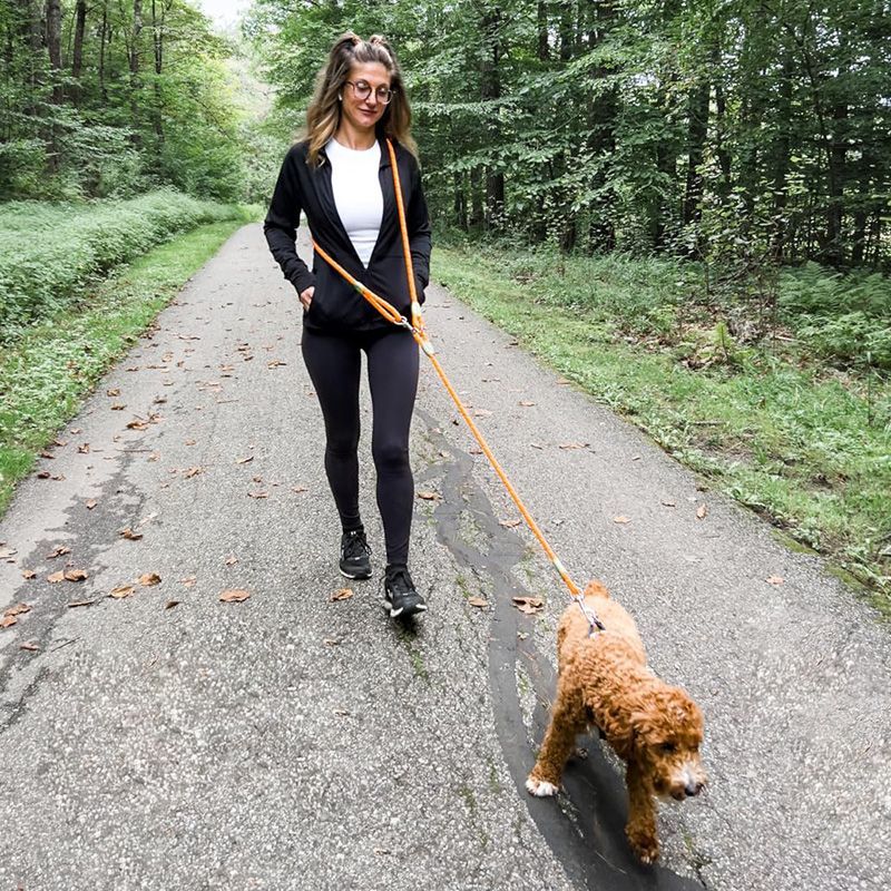 Reflecterende handsfree honden - Running Gear Dog recensie en prijs